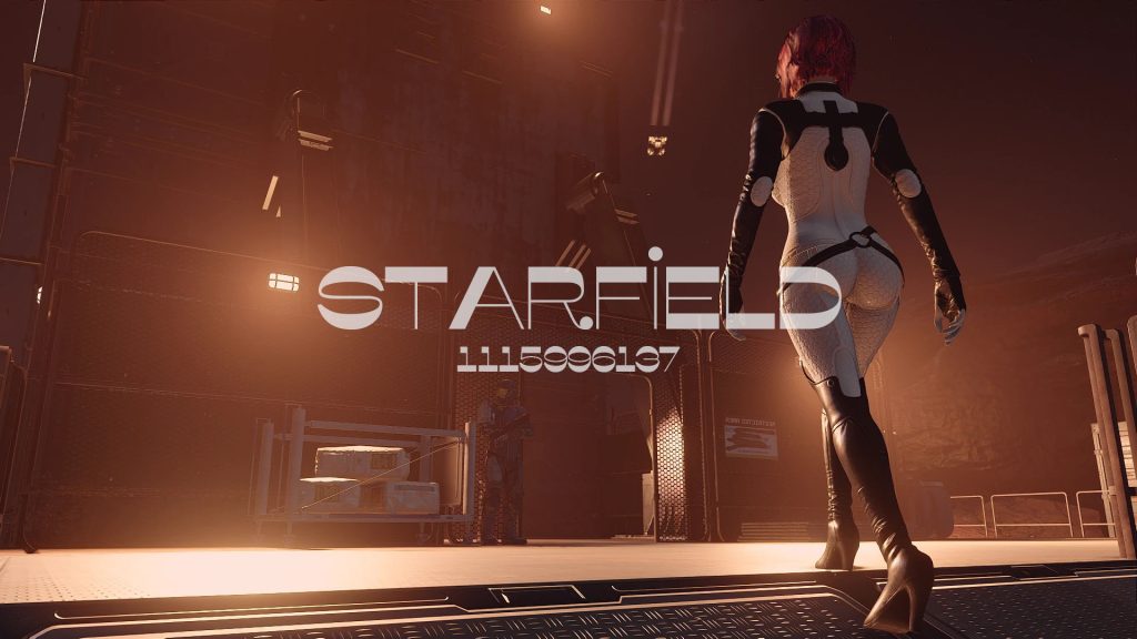 图片[10]-星空（Starfield）绅士模组整合 2024年重磅发布 本站制作-Poetr绅楼