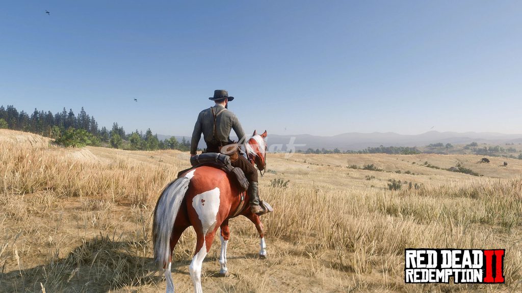 图片[16]-荒野大镖客:救赎2（Red Dead Redemption 2）  光影追踪画质 绅士整合  本站制作-Poetr绅楼