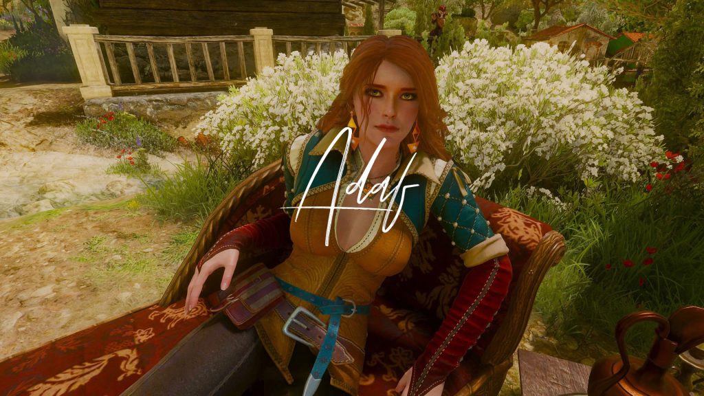 图片[8]-巫师3：狂猎（The Witcher 3 ）500mod整合 光影追踪画质 本站制作-Poetr绅楼