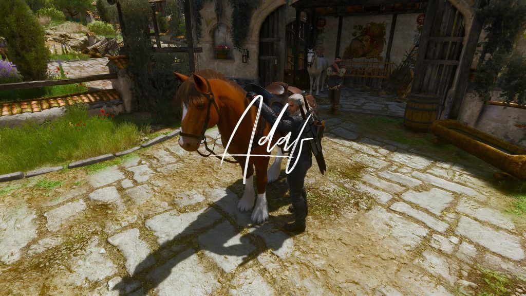 图片[12]-巫师3：狂猎（The Witcher 3 ）500mod整合 光影追踪画质 本站制作-Poetr绅楼