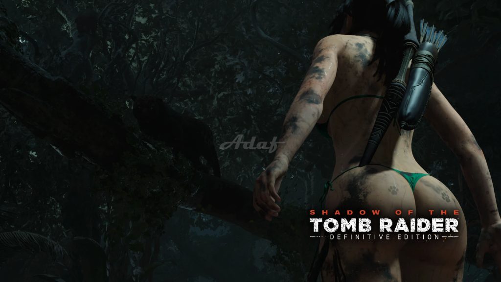 图片[12]-古墓丽影：暗影（Shadow of the Tomb Raider ）欲望清凉化 绅士整合  本站制作-Poetr绅楼