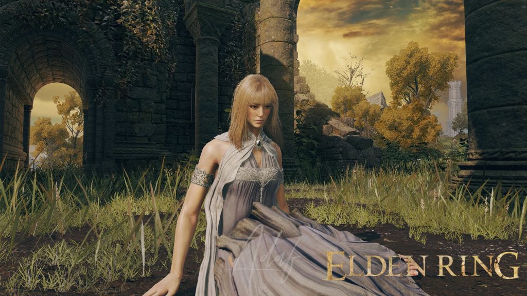 图片[6]-艾尔登法环（Elden Ring）战斗改进 绅士整合 本站制作-Poetr绅楼