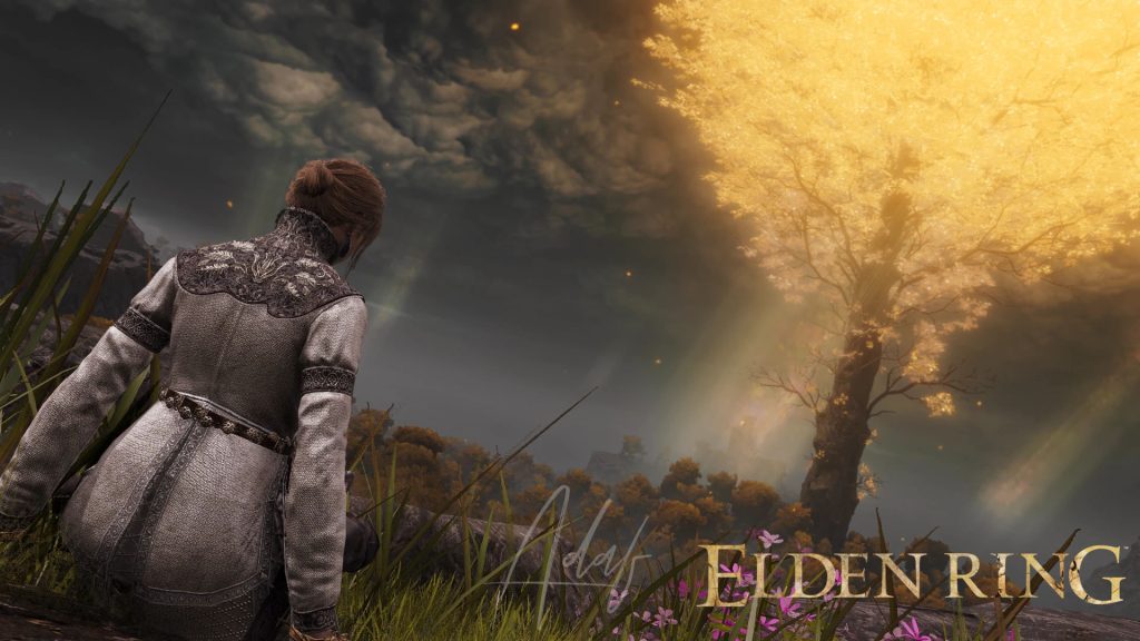 图片[8]-艾尔登法环（Elden Ring）战斗改进 绅士整合 本站制作-Poetr绅楼