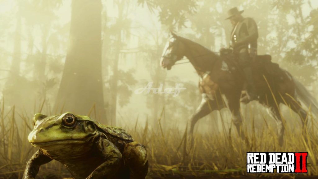 图片[8]-荒野大镖客:救赎2（Red Dead Redemption 2）  光影追踪画质 绅士整合  本站制作-Poetr绅楼