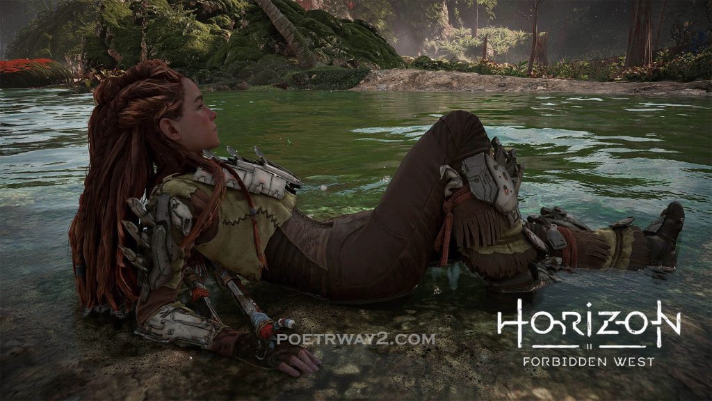 图片[8]-地平线：西之绝境（Horizon Forbidden West）超高清 绅士模组整合 本站制作-Poetr绅楼