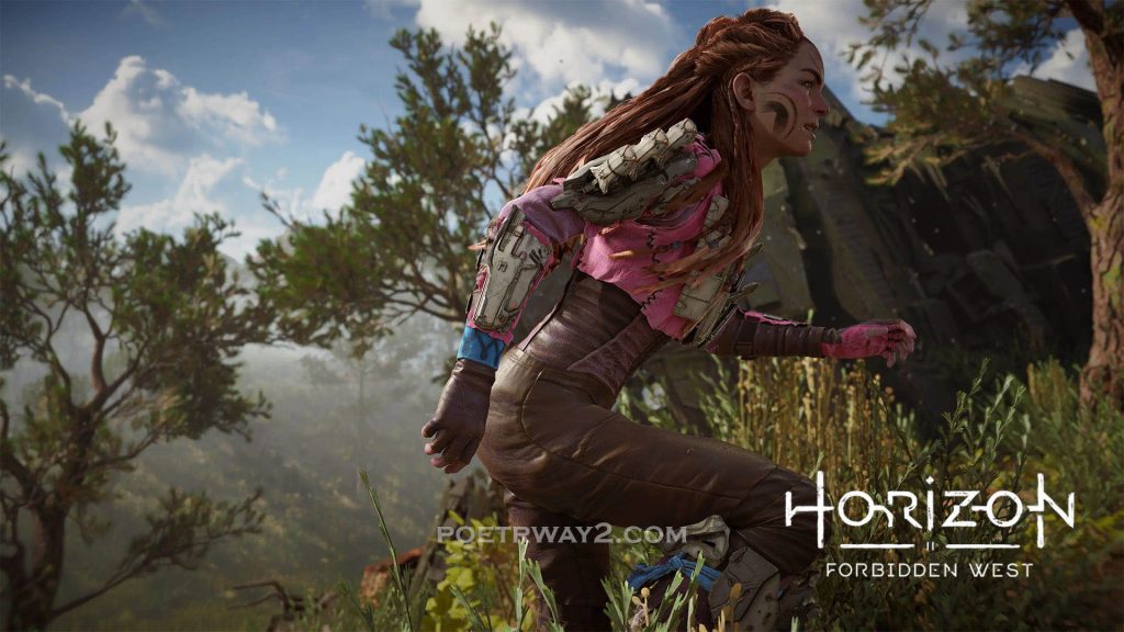 图片[10]-地平线：西之绝境（Horizon Forbidden West）超高清 绅士模组整合 本站制作-Poetr绅楼