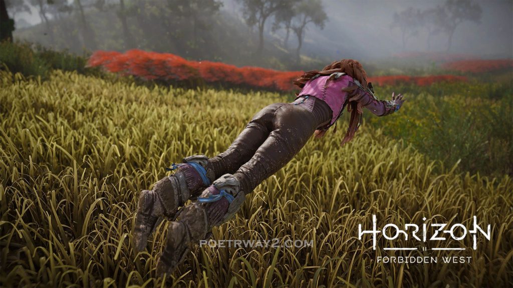 图片[13]-地平线：西之绝境（Horizon Forbidden West）超高清 绅士模组整合 本站制作-Poetr绅楼