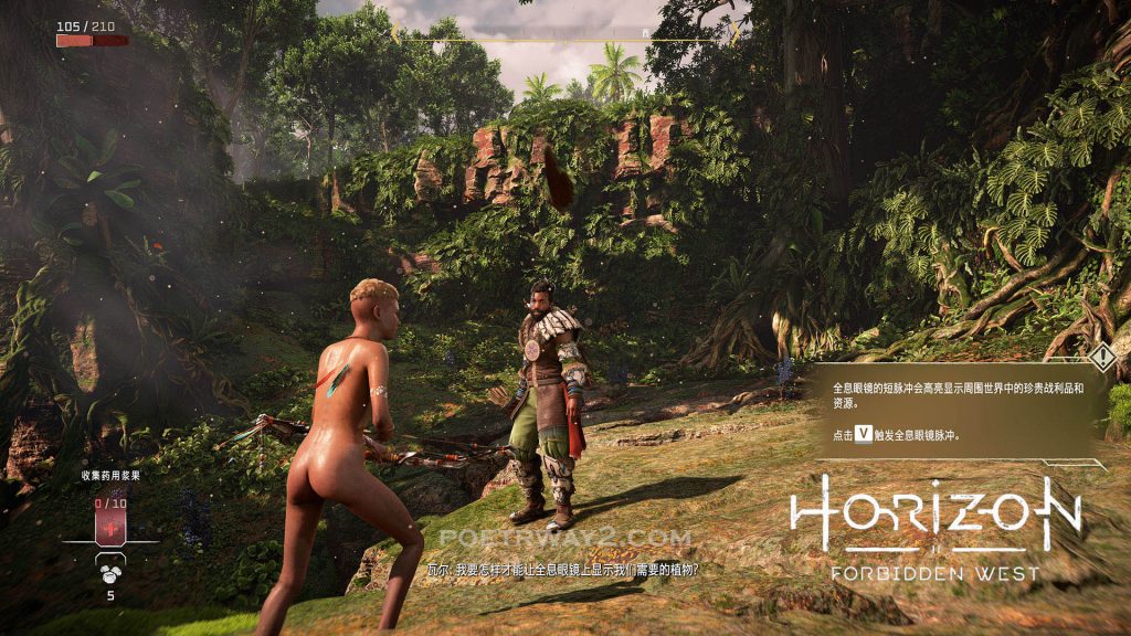 图片[6]-地平线：西之绝境（Horizon Forbidden West）超高清 绅士模组整合 本站制作-Poetr绅楼