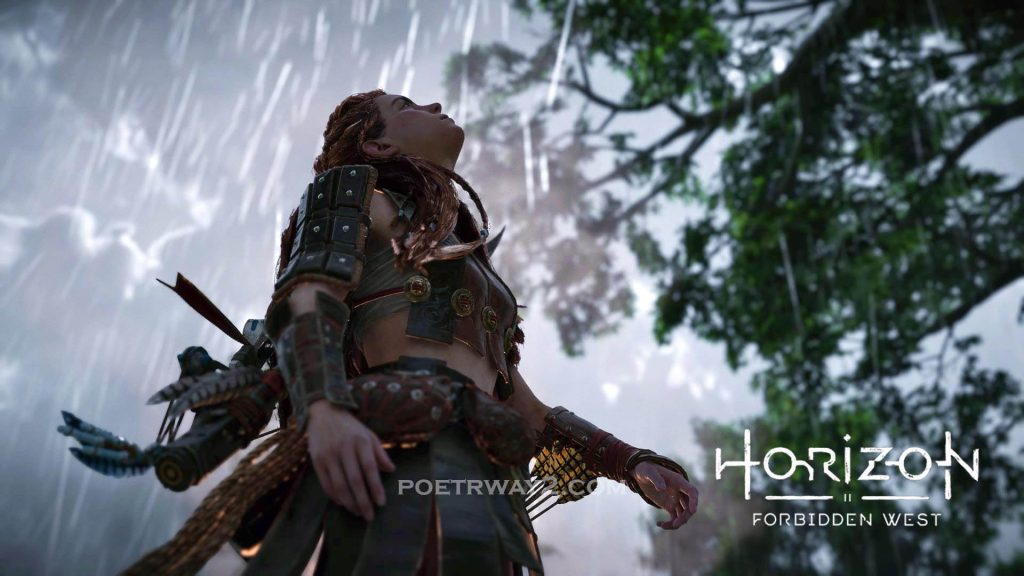 图片[5]-地平线：西之绝境（Horizon Forbidden West）超高清 绅士模组整合 本站制作-Poetr绅楼