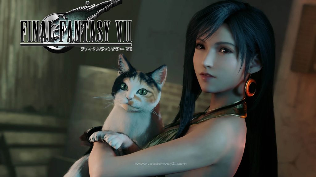 图片[13]-最终幻想 VII 重制版（Final Fantasy VII Remake ）绅士整合 本站制作-Poetr绅楼